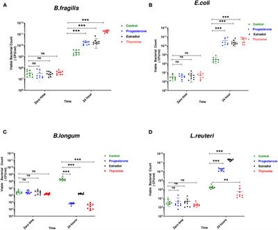 Hormonal drugs: Influence on growth, biofilm formation, and adherence of selected gut microbiota